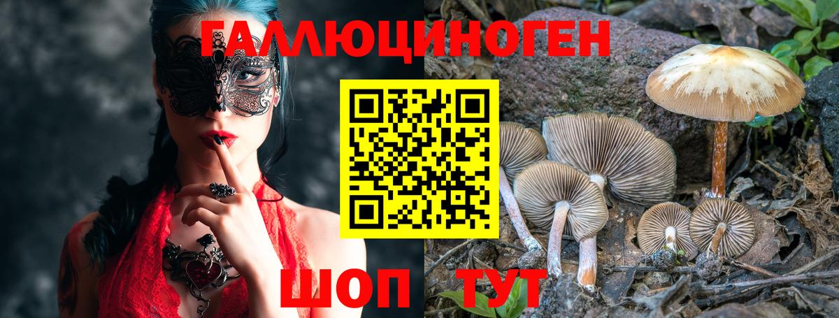 Вязьма  Галлюциногенные грибы MAGIC MUSHROOMS  Вход с VPN  цена наркотик  Галлюциногенные грибы Psilocybe 