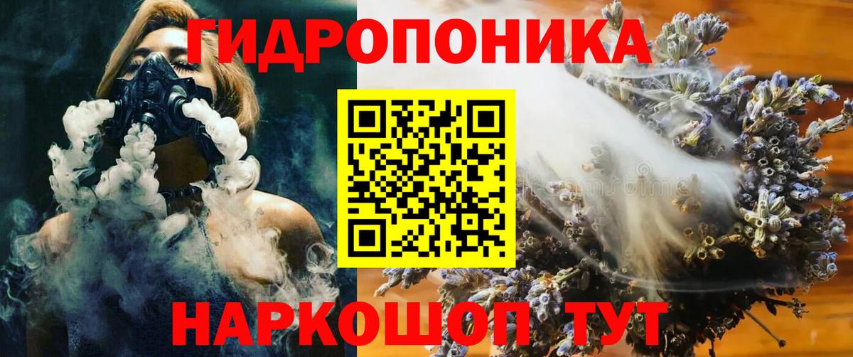 Канабис ГИДРОПОН  Канабис марихуана  Вязьма  Вход с VPN 